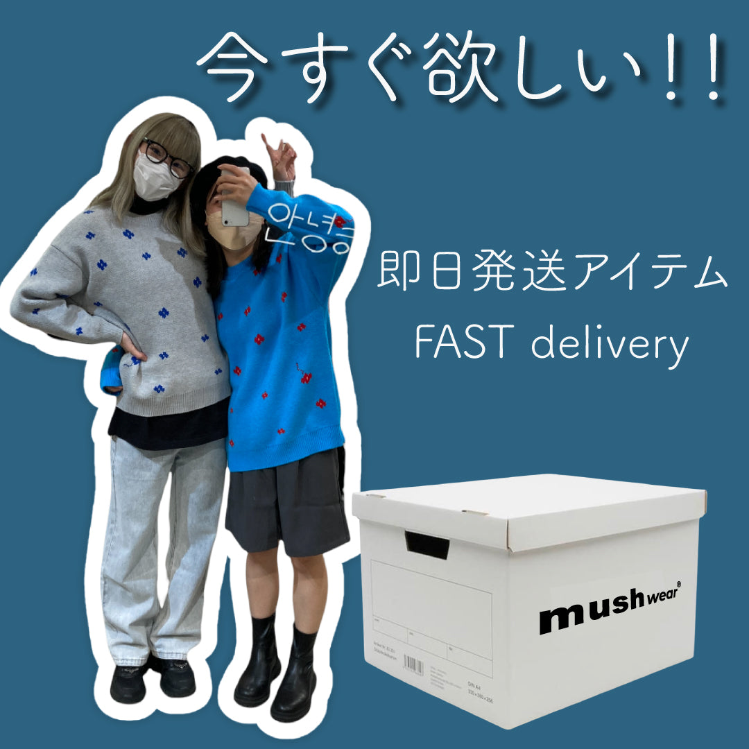 ファスト便（最短即日発送）