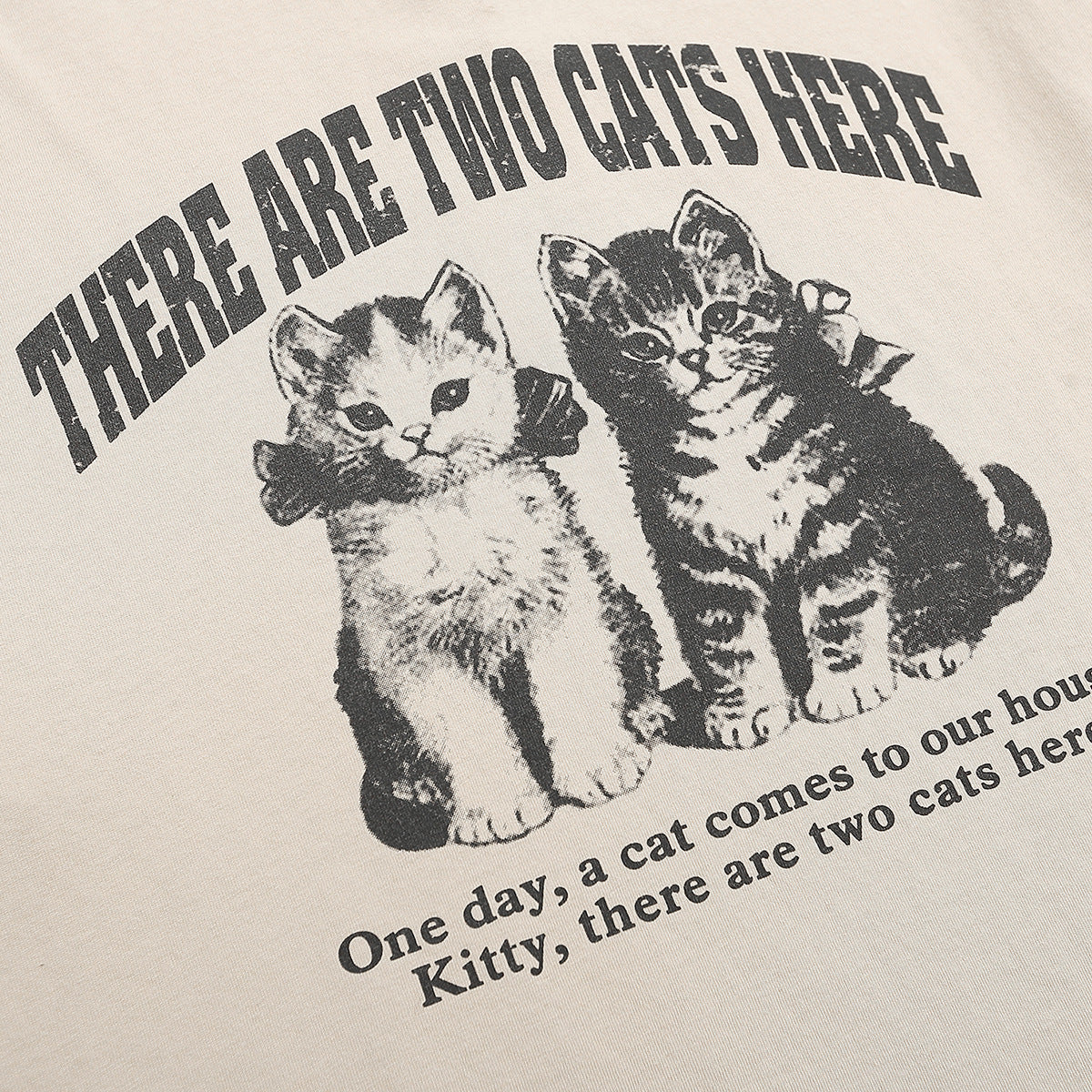 Washed Cat Print Oversize T-shirt HG7054