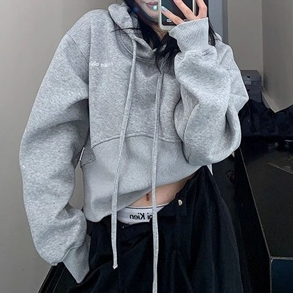 Washed Distressed Cropped Hoodie OS2023